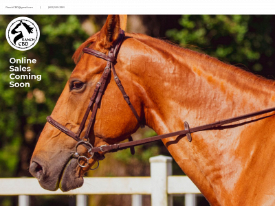 ranchcbd.com snapshot