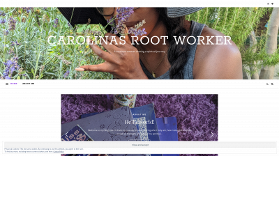 carolinasrootworker.com snapshot