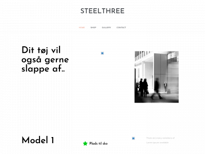 steelthree.com snapshot