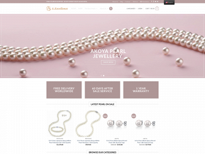 aexcellencepearl.com snapshot