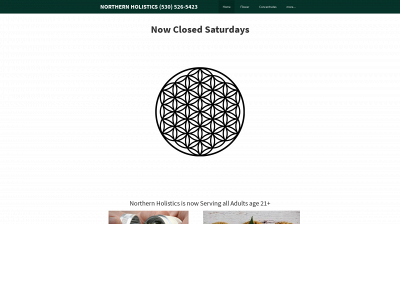 northernholistics.com snapshot