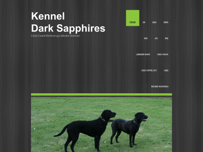 dark-sapphires.dk snapshot