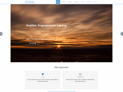 mujicconsulting.no snapshot