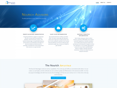 nourichadvisors.com snapshot