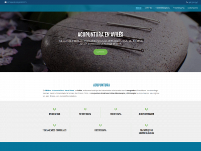 medicoacupunturarosamariaperez.com snapshot