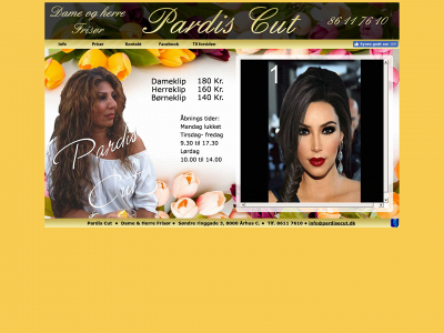paradisecut.dk snapshot