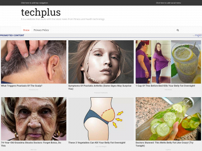 techplus.com.de snapshot