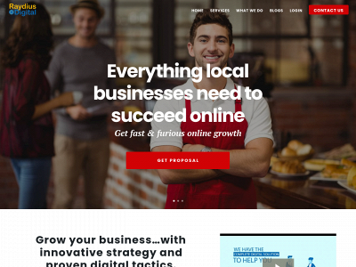 raydiusdigital.com snapshot
