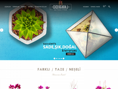 cicekgaraj.com snapshot