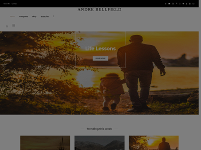 andrebellfield.com snapshot