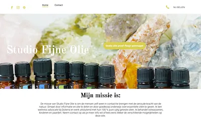 studiofijneolie.online snapshot