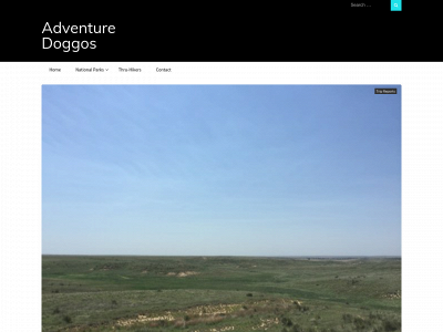 themostimportantstep.site snapshot