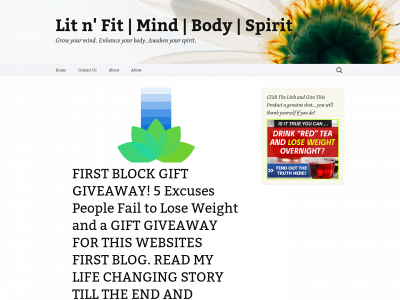 lit-n-fit.com snapshot