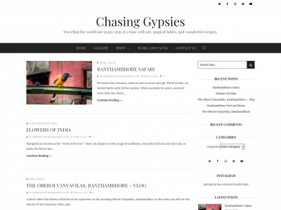 chasing-gypsies.com snapshot