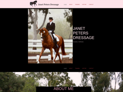 janetpetersdressage.one snapshot