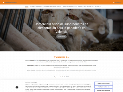transbamon.com snapshot