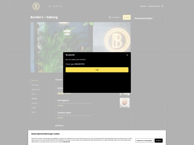 burders.dk snapshot