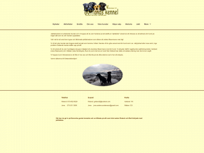 gottand.com snapshot