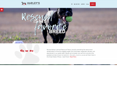 rescuelove.org snapshot