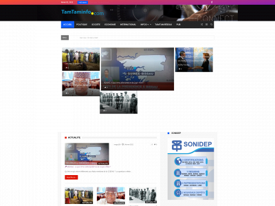 tamtaminfo.com snapshot