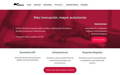 tafyesa.com snapshot