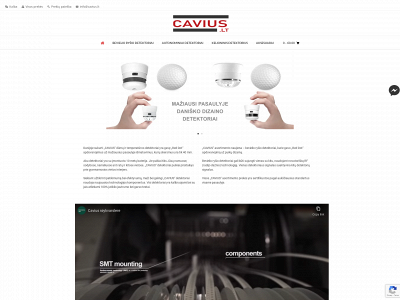 cavius.lt snapshot