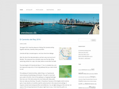 swedanes.dk snapshot