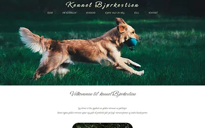 bjorkestienkennel.com snapshot