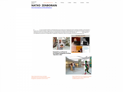 natxozenborain.com snapshot