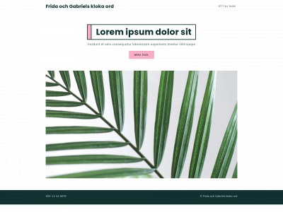 fridaochgabrielsklokaord.se snapshot