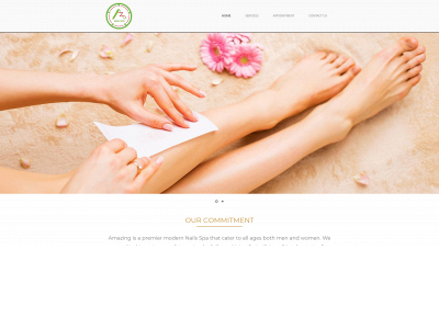 amazingnailsspa.com snapshot