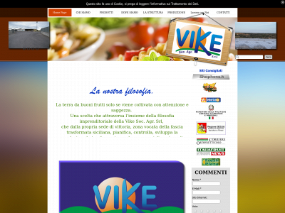vikesrl.com snapshot