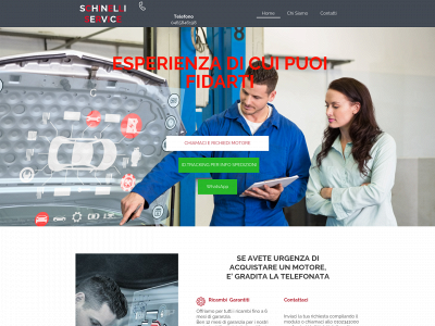 schinelliservice.it snapshot