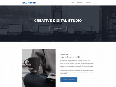 bashandel.de snapshot
