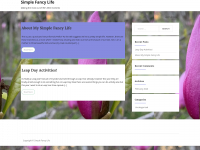 simplefancylife.com snapshot