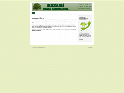 apoyodomiciliario.com snapshot