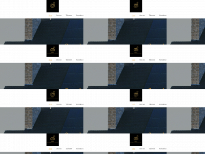 besiktningspatrullen.se snapshot