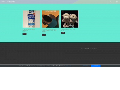 tuvanne.com snapshot