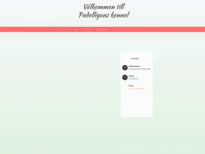 pudelligans.se snapshot