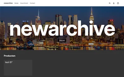 newarchive.nl snapshot