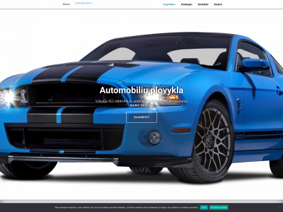 svariauto.lt snapshot
