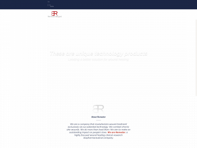 remedor.com snapshot