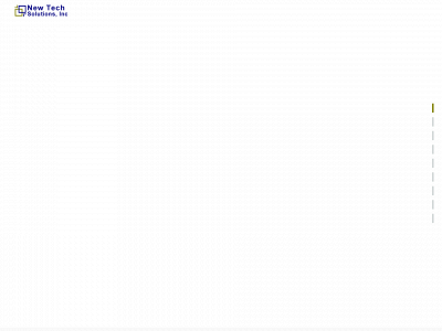 newtechsolutions.com snapshot