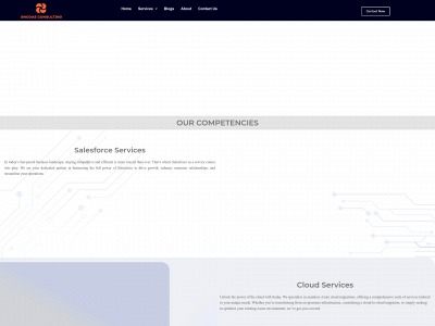 snodas-consulting.co.uk snapshot