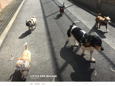 littledogwalker.com snapshot
