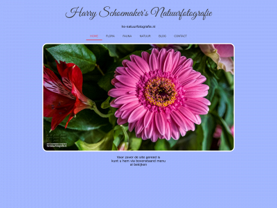hs-natuurfotografie.nl snapshot
