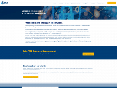 verusgroupllc.com snapshot
