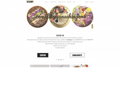 www.vegamomx.com snapshot