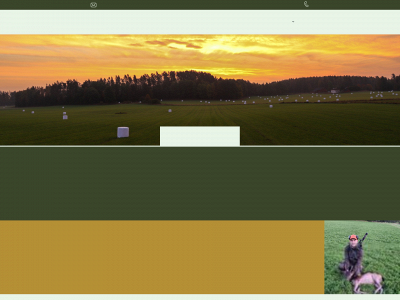 tornblad.nu snapshot