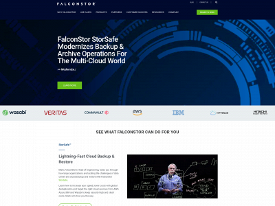 falconstor.com snapshot